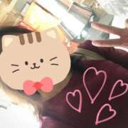 ヒメ日記 2025/05/13 14:51 投稿 梅園みさき ミセス大阪十三店