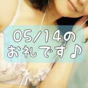 ヒメ日記 2025/05/15 13:45 投稿 梅園みさき ミセス大阪十三店