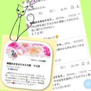 ヒメ日記 2025/07/09 13:45 投稿 梅園みさき ミセス大阪十三店