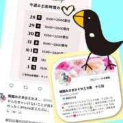 ヒメ日記 2025/07/29 13:45 投稿 梅園みさき ミセス大阪十三店