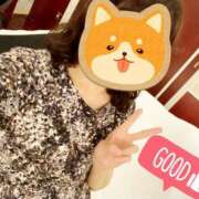 ヒメ日記 2025/09/12 13:01 投稿 梅園みさき ミセス大阪十三店