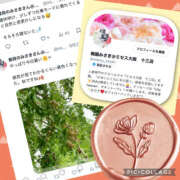 ヒメ日記 2025/10/03 13:30 投稿 梅園みさき ミセス大阪十三店