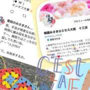 ヒメ日記 2025/11/18 15:15 投稿 梅園みさき ミセス大阪十三店