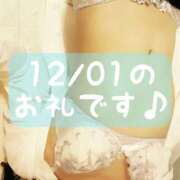 ヒメ日記 2025/12/02 14:31 投稿 梅園みさき ミセス大阪十三店