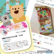 ヒメ日記 2026/02/15 13:30 投稿 梅園みさき ミセス大阪十三店