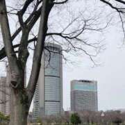 ヒメ日記 2026/03/02 12:58 投稿 梅園みさき ミセス大阪十三店