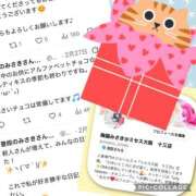 ヒメ日記 2026/03/11 13:30 投稿 梅園みさき ミセス大阪十三店