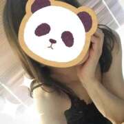 ヒメ日記 2026/04/03 06:23 投稿 梅園みさき ミセス大阪十三店