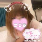 ヒメ日記 2025/03/11 10:02 投稿 ここあ サンキュー沼津店（サンキューグループ）