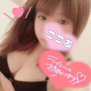 ヒメ日記 2025/11/14 14:00 投稿 ここあ サンキュー沼津店（サンキューグループ）