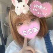 ヒメ日記 2025/11/15 13:21 投稿 ここあ サンキュー沼津店（サンキューグループ）