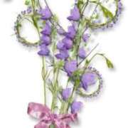 ヒメ日記 2024/12/20 19:15 投稿 みすず WHITE(ホワイト)