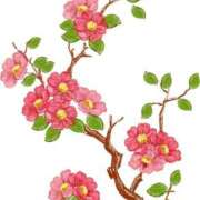 ヒメ日記 2025/02/28 20:44 投稿 みすず WHITE(ホワイト)