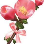 ヒメ日記 2025/03/14 17:12 投稿 みすず WHITE(ホワイト)