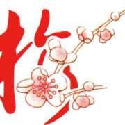 ヒメ日記 2025/03/15 17:55 投稿 みすず WHITE(ホワイト)