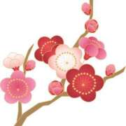 ヒメ日記 2025/03/19 18:42 投稿 みすず WHITE(ホワイト)