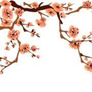 ヒメ日記 2025/03/23 17:40 投稿 みすず WHITE(ホワイト)