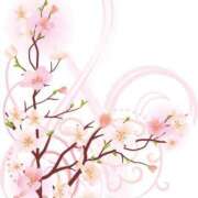 ヒメ日記 2025/03/25 21:11 投稿 みすず WHITE(ホワイト)