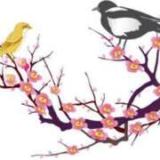 ヒメ日記 2025/03/29 21:13 投稿 みすず WHITE(ホワイト)