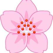 ヒメ日記 2025/04/19 18:32 投稿 みすず WHITE(ホワイト)