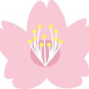 ヒメ日記 2025/04/20 21:05 投稿 みすず WHITE(ホワイト)