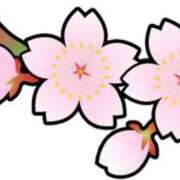 ヒメ日記 2025/04/26 23:59 投稿 みすず WHITE(ホワイト)