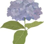 ヒメ日記 2025/05/06 17:34 投稿 みすず WHITE(ホワイト)