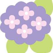 ヒメ日記 2025/05/07 21:56 投稿 みすず WHITE(ホワイト)