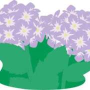 ヒメ日記 2025/05/10 22:08 投稿 みすず WHITE(ホワイト)