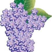 ヒメ日記 2025/06/18 18:52 投稿 みすず WHITE(ホワイト)