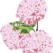 ヒメ日記 2025/06/22 17:51 投稿 みすず WHITE(ホワイト)