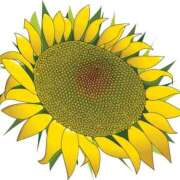 ヒメ日記 2025/07/15 19:06 投稿 みすず WHITE(ホワイト)