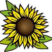 ヒメ日記 2025/07/16 18:23 投稿 みすず WHITE(ホワイト)