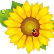 ヒメ日記 2025/07/20 17:10 投稿 みすず WHITE(ホワイト)