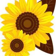 ヒメ日記 2025/07/30 18:30 投稿 みすず WHITE(ホワイト)