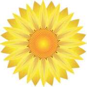 ヒメ日記 2025/08/05 19:14 投稿 みすず WHITE(ホワイト)