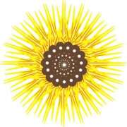 ヒメ日記 2025/08/08 17:47 投稿 みすず WHITE(ホワイト)