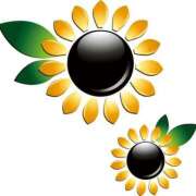 ヒメ日記 2025/08/09 17:48 投稿 みすず WHITE(ホワイト)