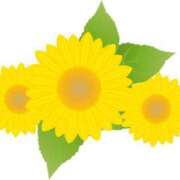 ヒメ日記 2025/08/10 17:50 投稿 みすず WHITE(ホワイト)