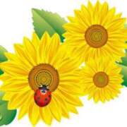 ヒメ日記 2025/08/12 20:45 投稿 みすず WHITE(ホワイト)