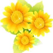 ヒメ日記 2025/08/13 16:28 投稿 みすず WHITE(ホワイト)