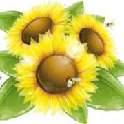 ヒメ日記 2025/08/15 17:00 投稿 みすず WHITE(ホワイト)