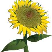 ヒメ日記 2025/08/26 19:05 投稿 みすず WHITE(ホワイト)