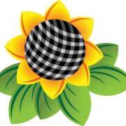 ヒメ日記 2025/08/30 17:38 投稿 みすず WHITE(ホワイト)