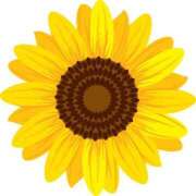 ヒメ日記 2025/09/06 17:43 投稿 みすず WHITE(ホワイト)