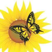 ヒメ日記 2025/09/08 14:19 投稿 みすず WHITE(ホワイト)