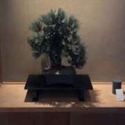 こと ☺️ 品川ミセスアロマ（ユメオト）