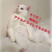 ヒメ日記 2025/10/15 13:13 投稿 樹梨 痴女@女王様