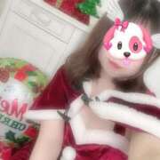 ヒメ日記 2024/12/24 10:38 投稿 あんず 京都BOOK MARK（ブックマーク）