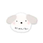 ヒメ日記 2025/08/16 15:48 投稿 あみ 三浦屋別館